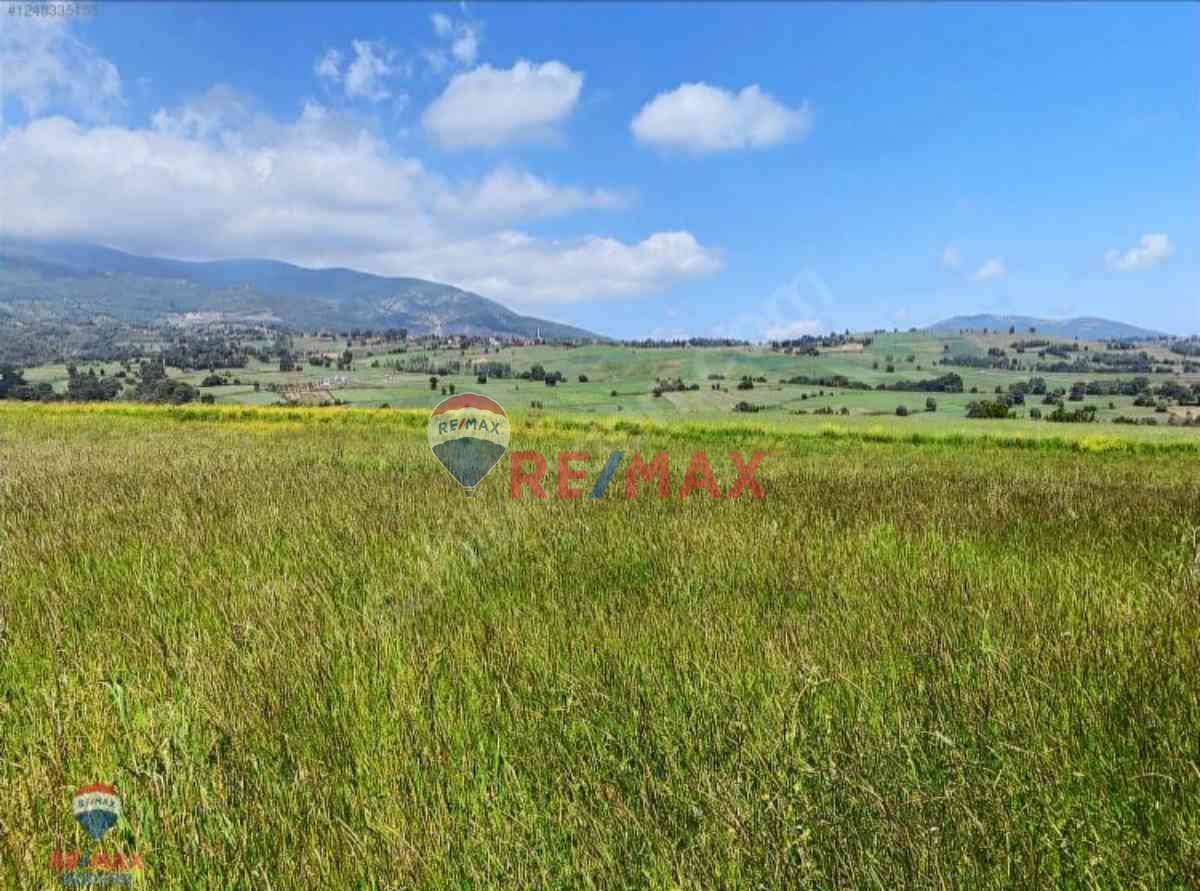 REMAX MODERN YUNUS EMRE'DEN SATILIK ÇATMAOLUK'TA TARLA