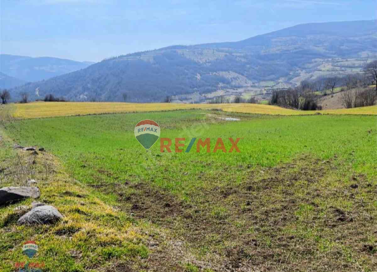 REMAX MODERN YUNUS EMRE'DEN SATILIK ÇATMAOLUK'TA TARLA