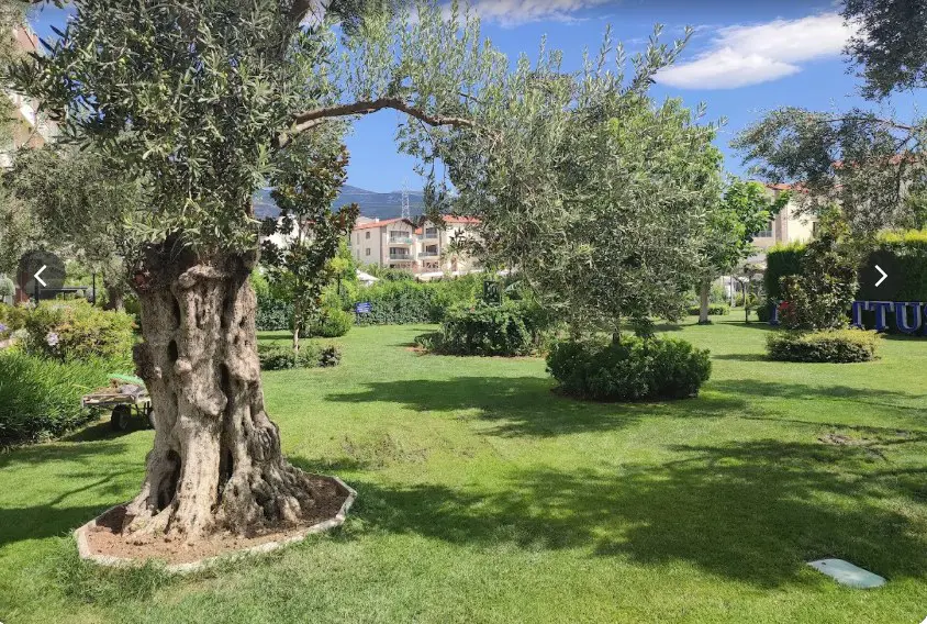 Property image 11