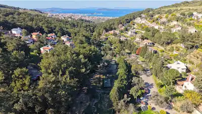 URLADA ORMAN İÇİNDE ZEYTİNLER ÇİFTLİK EVLERİNDE SATILIK VİLLA