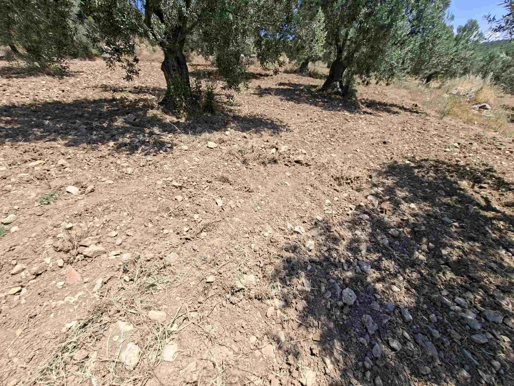 Property image 28