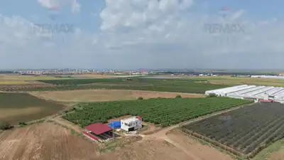 REMAX AVLU'DAN ADANA İMAMOĞLU'NDA SATILIK  VERİMLİ MEYVE BAHÇESİ