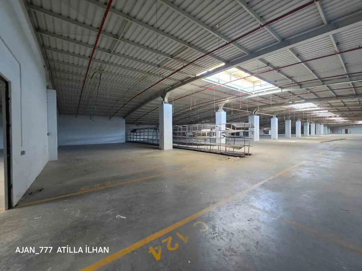 Property image 17