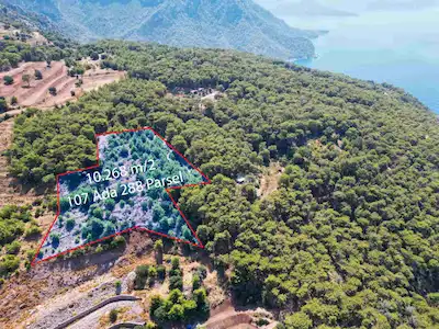 FETHİYE FARALYA’DA DENİZE HÂKİM 10.268 M² | DOĞANIN İÇİNDE ÖZEL PARSEL