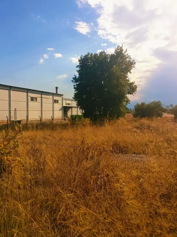 KEPEZ ODABAŞI’NDA KİRALIK 5 DÖNÜM ARSA