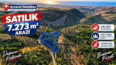 AYVACIK NALDÖKEN’DE YOLA CEPHE 7.273 M² SATILIK ARAZİ