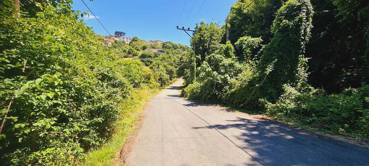 BEYKOZ'DA ORMAN İÇINDE ACARKENT E KAPISINA YAKIN SATILIK ARSA