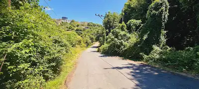 BEYKOZ'DA ORMAN İÇINDE ACARKENT E KAPISINA YAKIN SATILIK ARSA