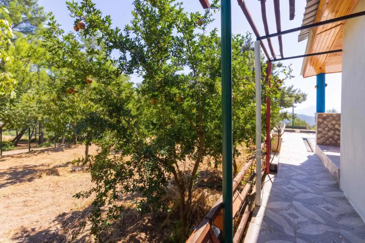 Property image 18