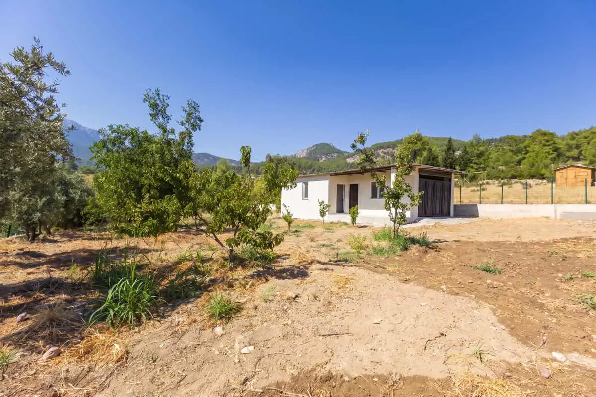 Property image 16