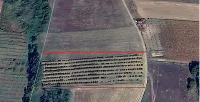 AKMEŞE KUZEY MARMARA ÇIKIŞ MEVKİİ 6687M² SATILIK TARLA