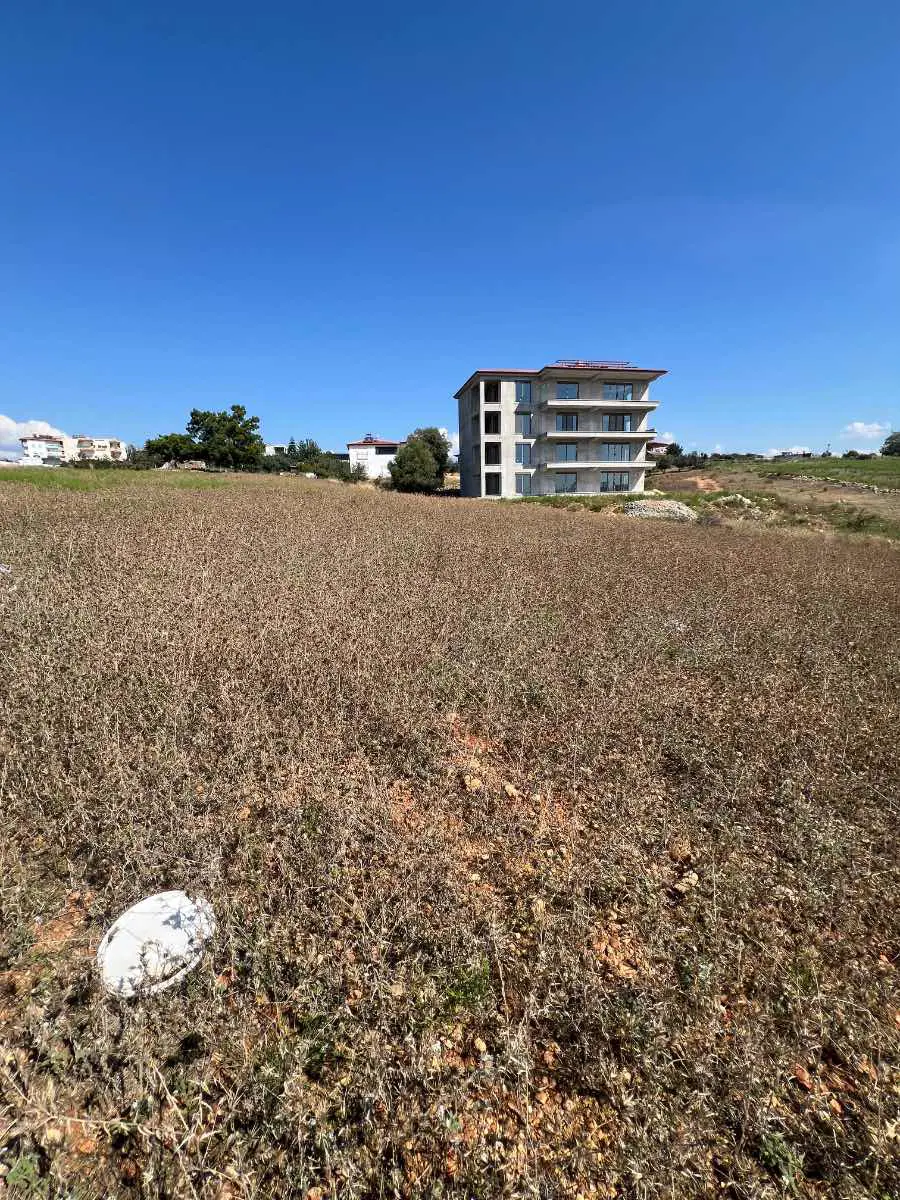 Property image 16