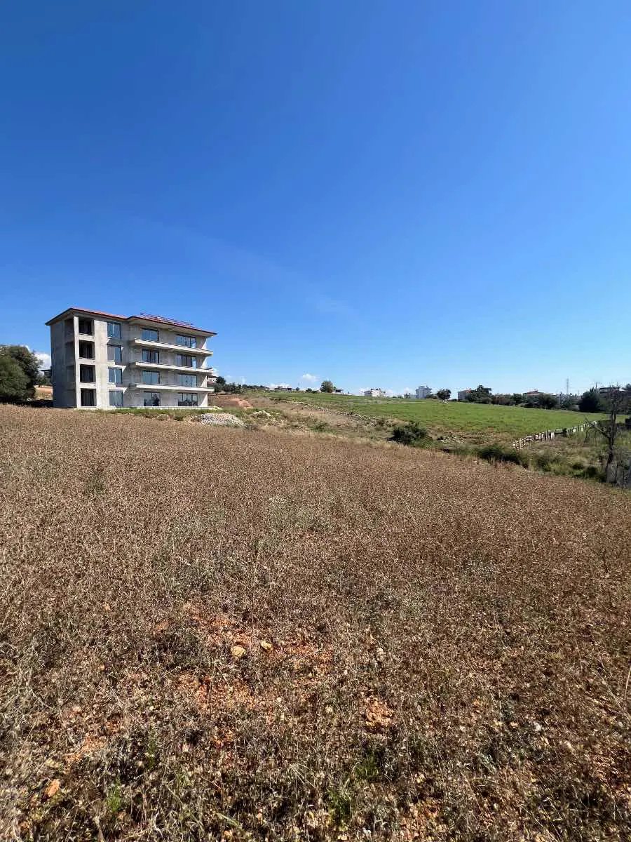 Property image 10