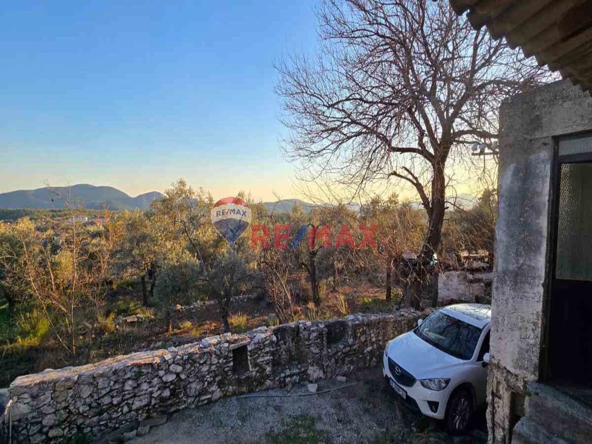 MUĞLA MILAS PINAR KÖY DE SATILIK EV AHIR VE ZEYTINLI BAHÇE