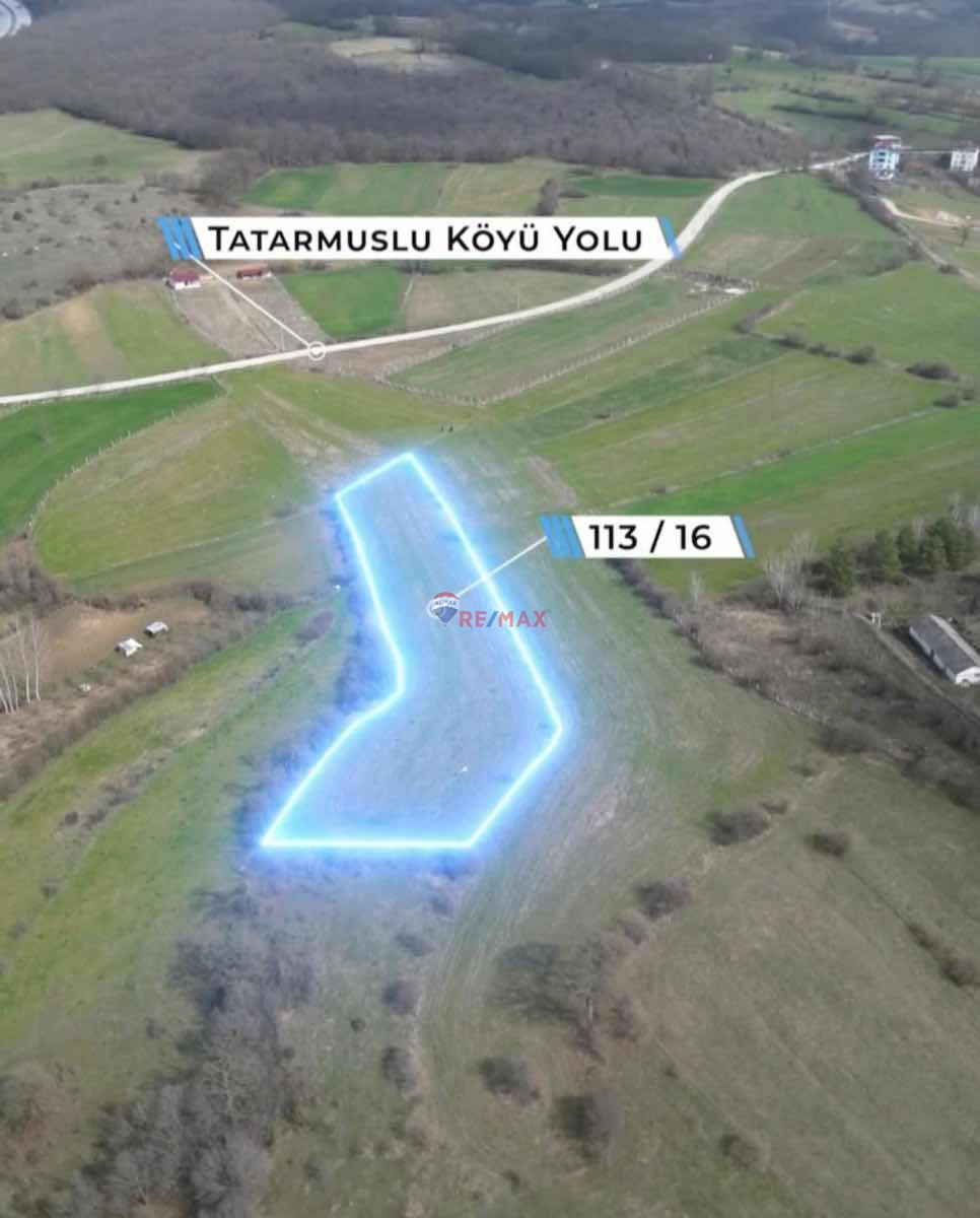 REMAX PARLA SAMSUN KAVAK SATILIK TARLA