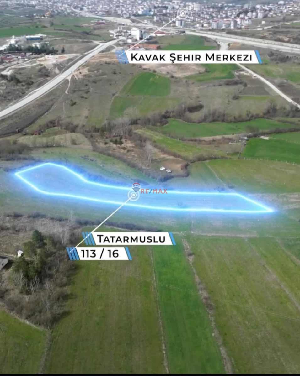 REMAX PARLA SAMSUN KAVAK SATILIK TARLA