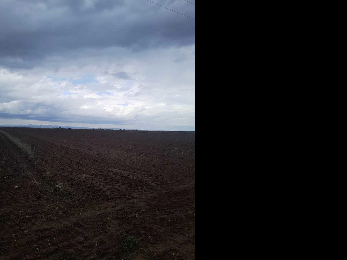 REMAX LAND DAN SARAY GÖÇERLERDE SATILIK TARLA