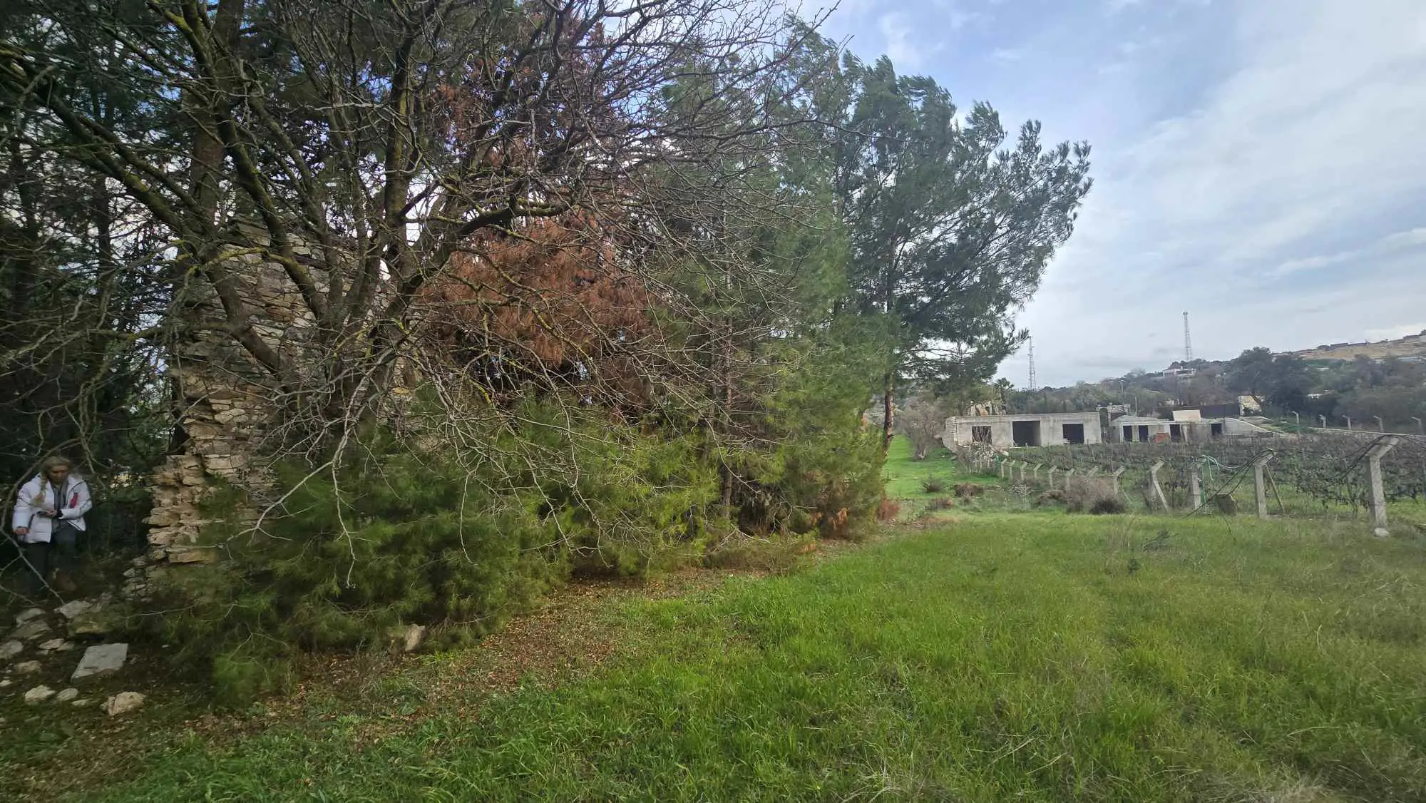Property image 27