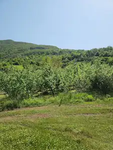 KARTEPE ARSLANBEY'DE 1000 M2 VİLLA İMARLI MANZARALI ARSA