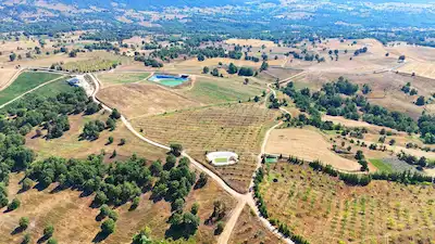 RE/MAX İNCİ'DEN BURSA BÜYÜKORHAN'DA SATILIK 265 DÖNÜM MEYVE BAHÇESİ 