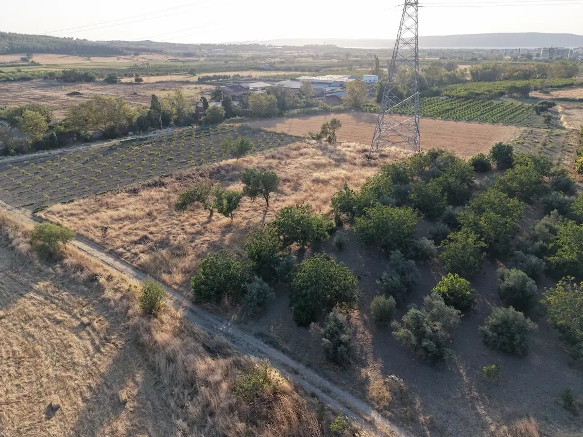 ÇANAKKALE MERKEZ KALABAKLI YOLA CEPHELİ FIRSAT SATILIK TARLA
