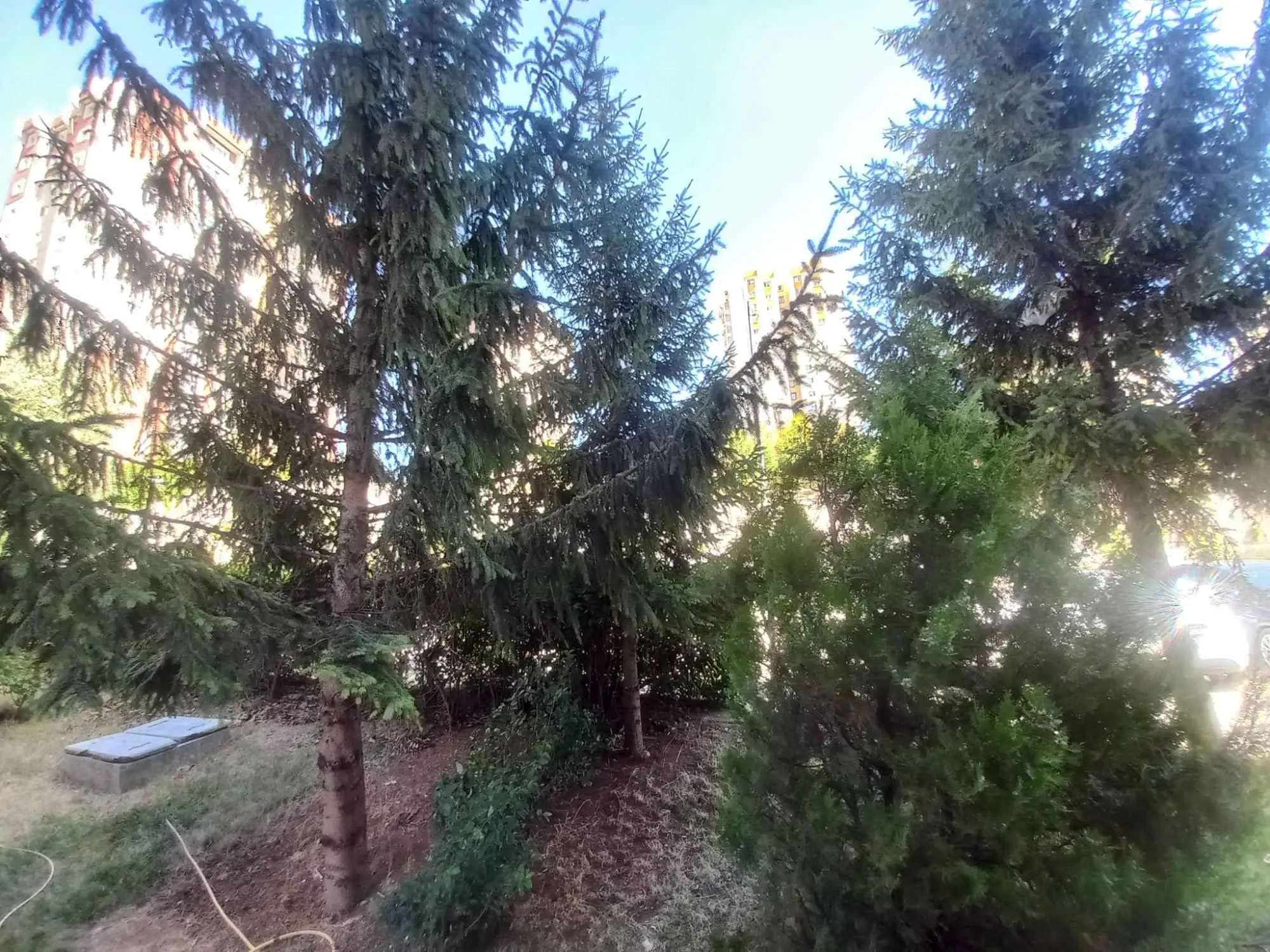 Property image 57