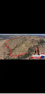 MANİSA KULA 260 DÖNÜM SATILIK CEVİZ ÇİFTLİĞİ
