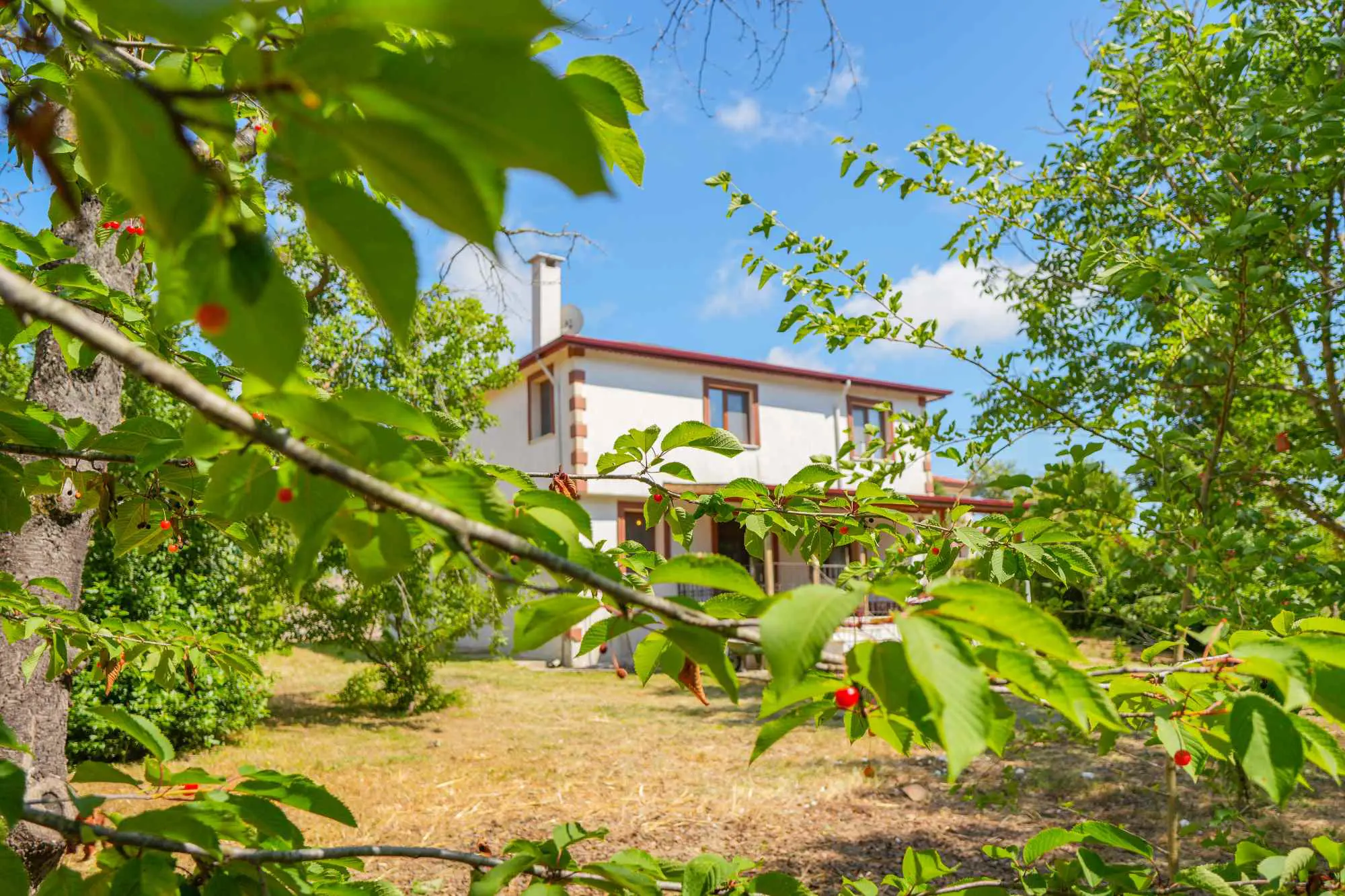 Property image 20