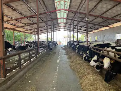 REMAX MODEL DEN PAMUKKALE YOLUNDA 6500M² RUHSATLI KIRALIK ÇIFTLIK