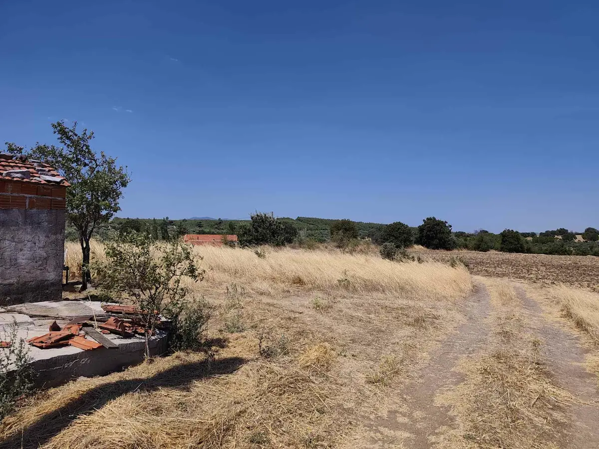 BERGAMA ZEYTİNDAĞ'DA ÇANAKKALE OTOYOLUNA 5 KM|GELIR GETIREN SATILIK 13.471 M² VERIMLI TARIM ARAZISI