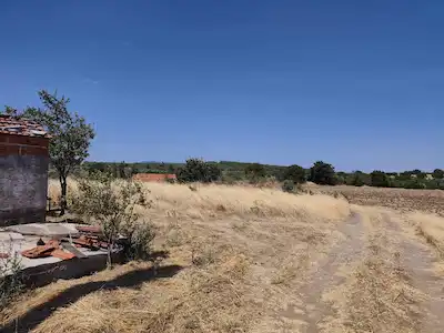 BERGAMA ZEYTİNDAĞ'DA ÇANAKKALE OTOYOLUNA 5 KM|GELIR GETIREN SATILIK 13.471 M² VERIMLI TARIM ARAZISI