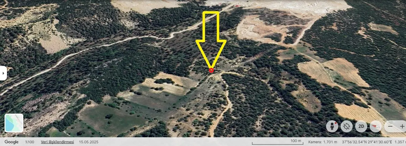 Property image 6