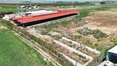 HATAY ANTAKYA'DA 750 BAŞ KAPASİTELİ KURULU BÜYÜKBAŞ ÇİFTLİĞİ