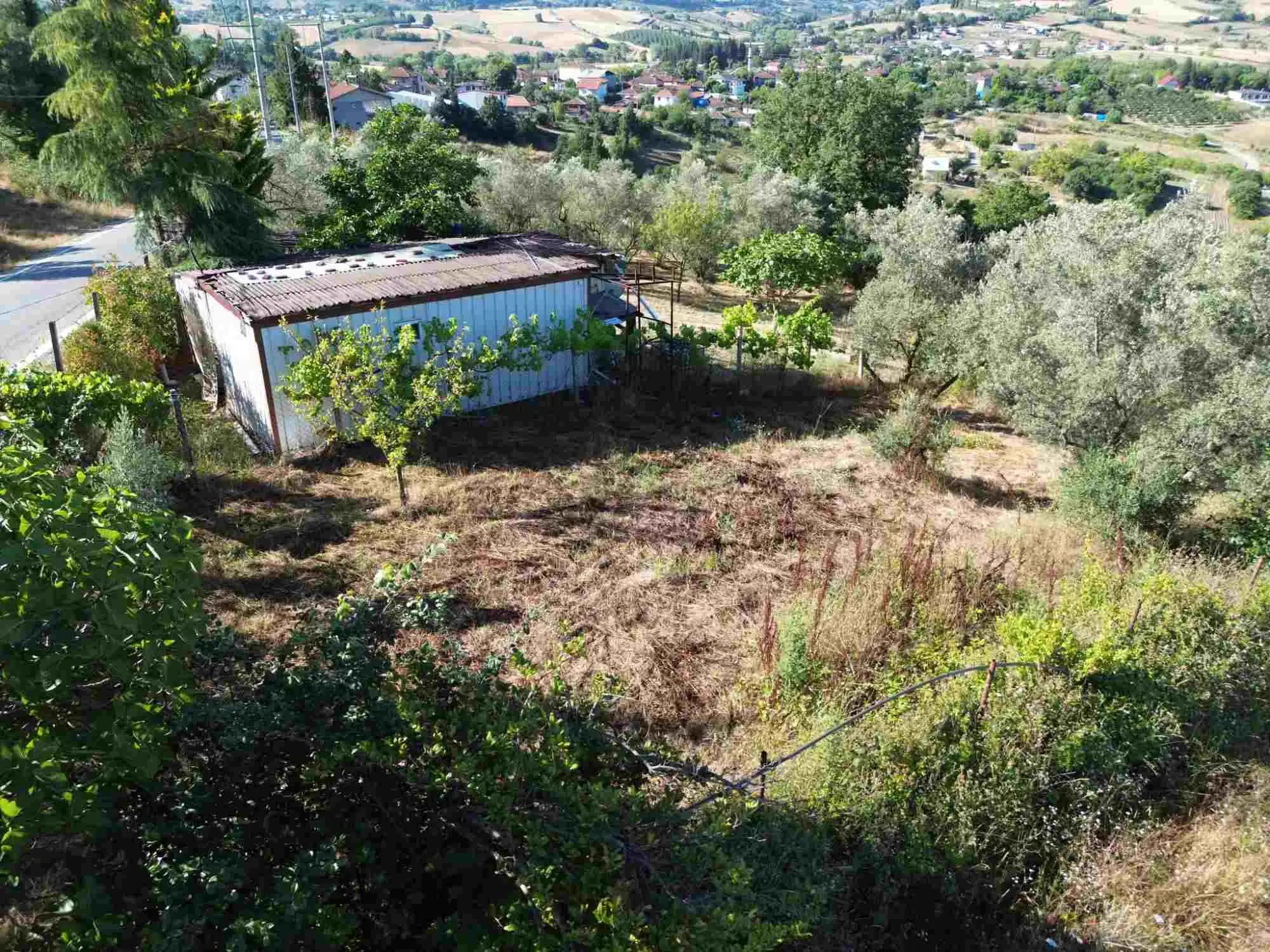 Property image 19