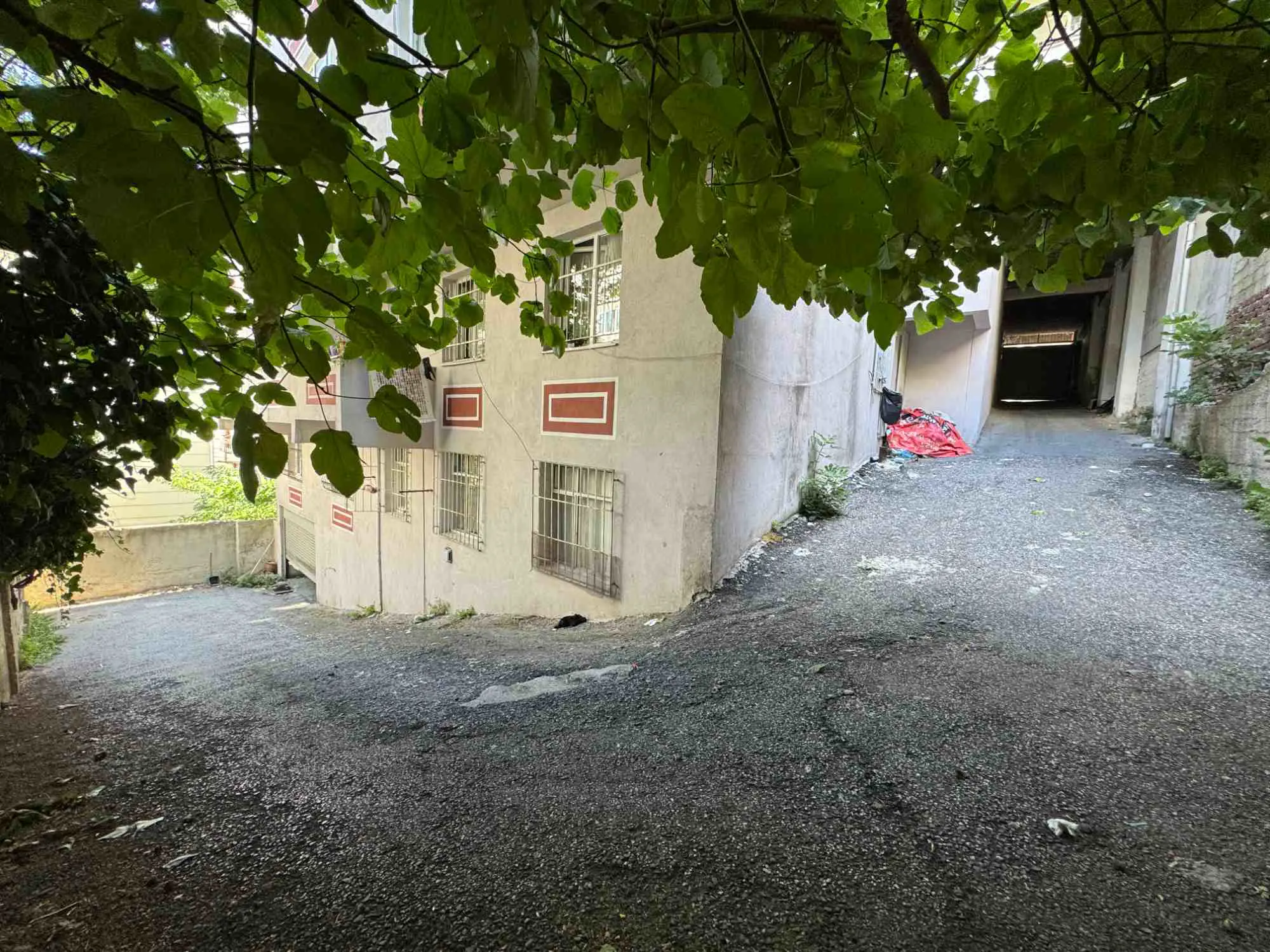Property image 19