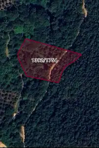 İZNİK GÖLÜ HAVZASI MÜŞKÜLE'DE TEK TAPU 3.910 M² FIRSAT EMSALLERINDEN COK UYGUN