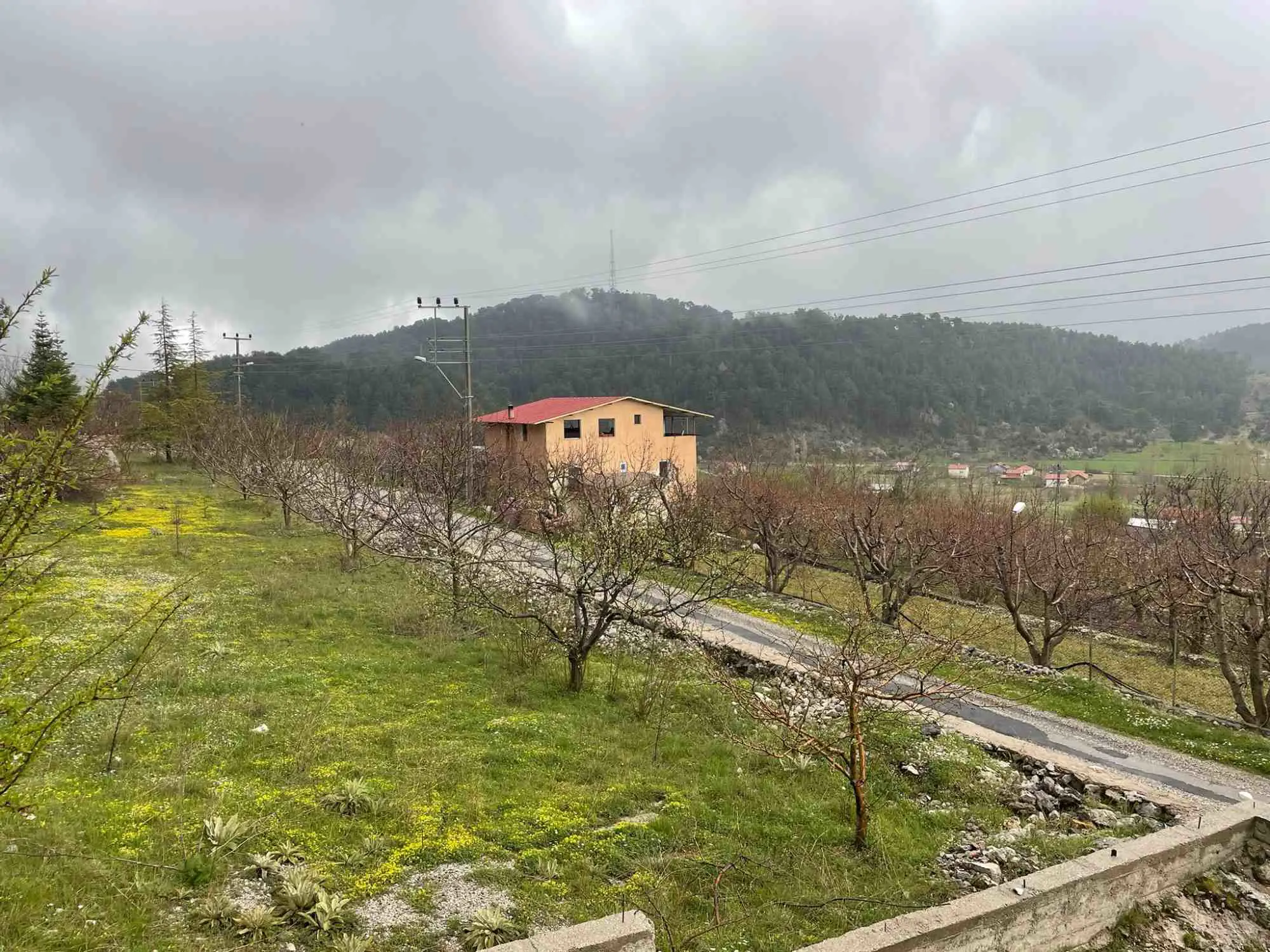 Property image 23