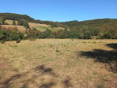 KOCAELİ KANDIRA DALCA KÖYÜ SATILIK 7.062 M2 MÜSTAKİL TAPULU