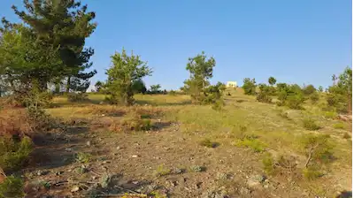 DENİZLİ, TAVAS, GÖKÇELER'DE SATILIK 2.900 M2 ARAZİ
