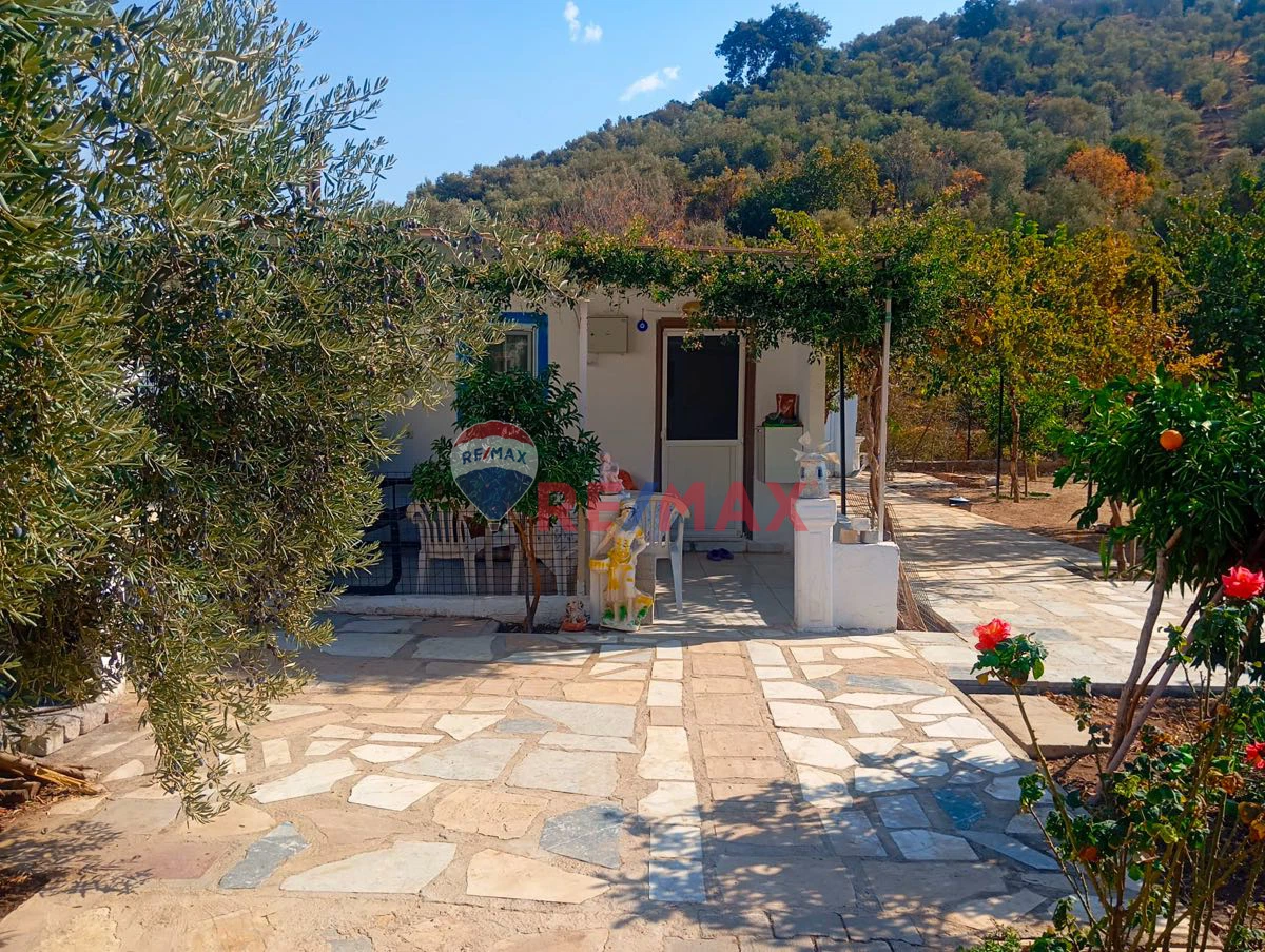 Property image 29