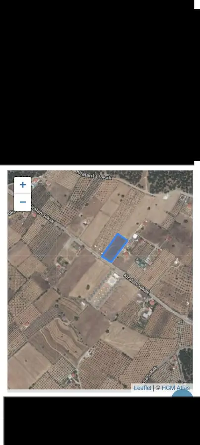 ZEYTINALANINDA TEK PARÇA 4220M2 ARSA