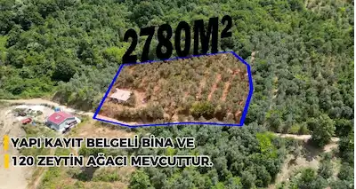 REMAX BEYAZ ORHANGAZİ GEMİÇ’TE İZNİK GÖLÜ MANZARALI, YAPI KAYITLI ZEYTİNLİK