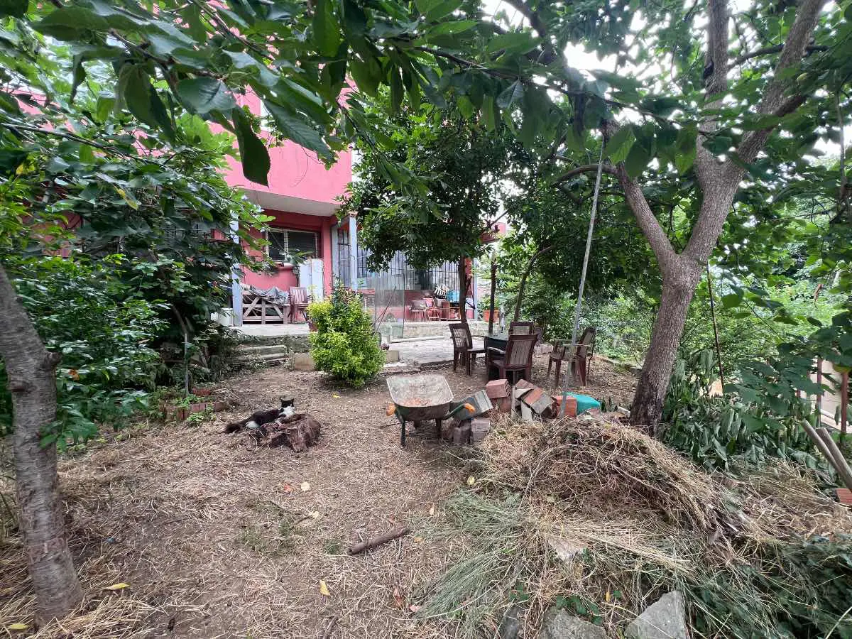 Property image 22