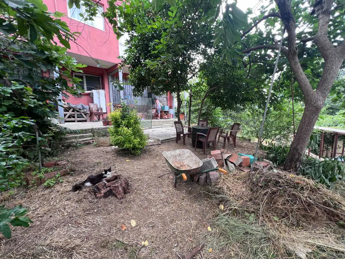 Property image 23