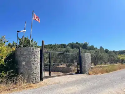 URLA ÖZBEK MAH. ASFALT YOLA 210 MT CEPHESİ OLAN 24.457 M2 BAKIMLI ZEYTİNLİK