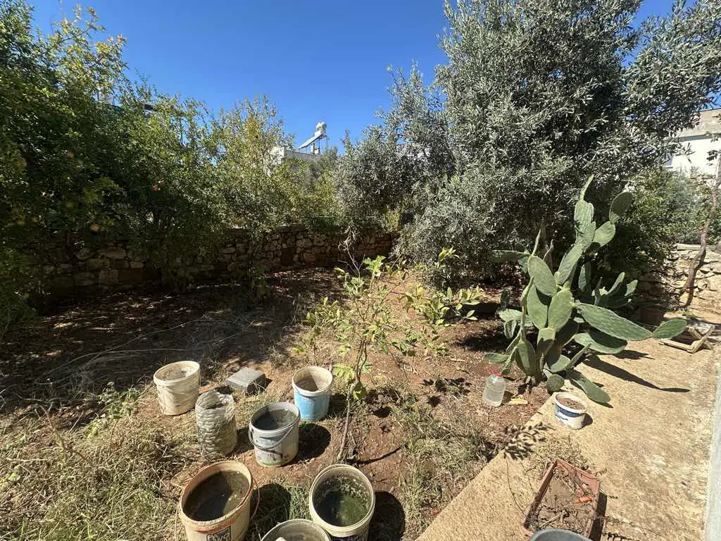 Property image 16