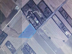 SİLİVRİ GAZİTEPE'DE 6632 M2 SATILIK TARLA