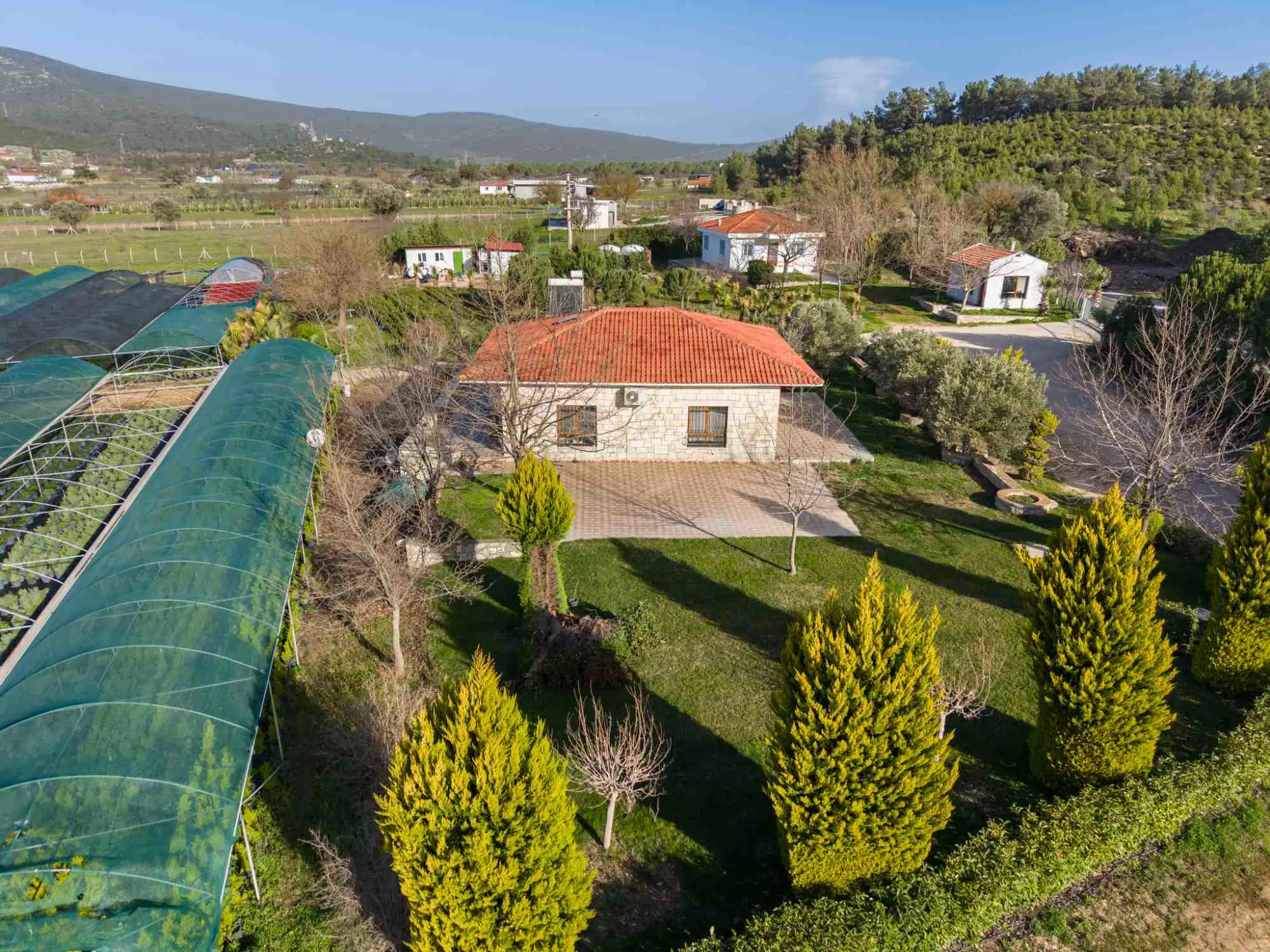 Property image 8