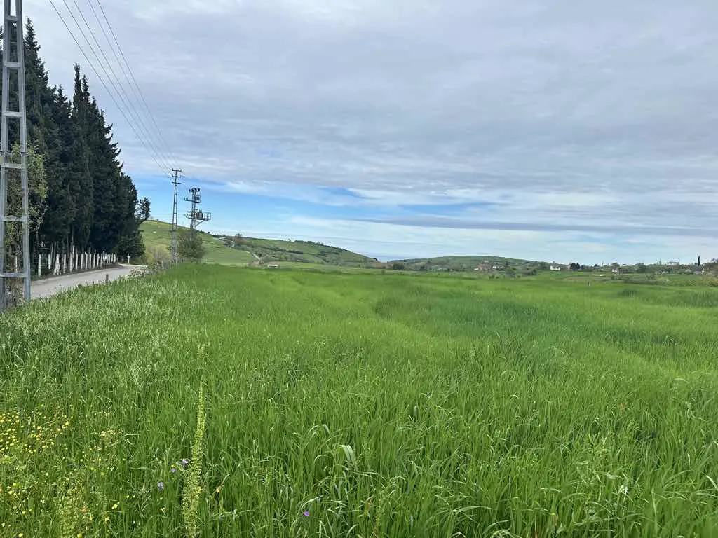 Property image 17