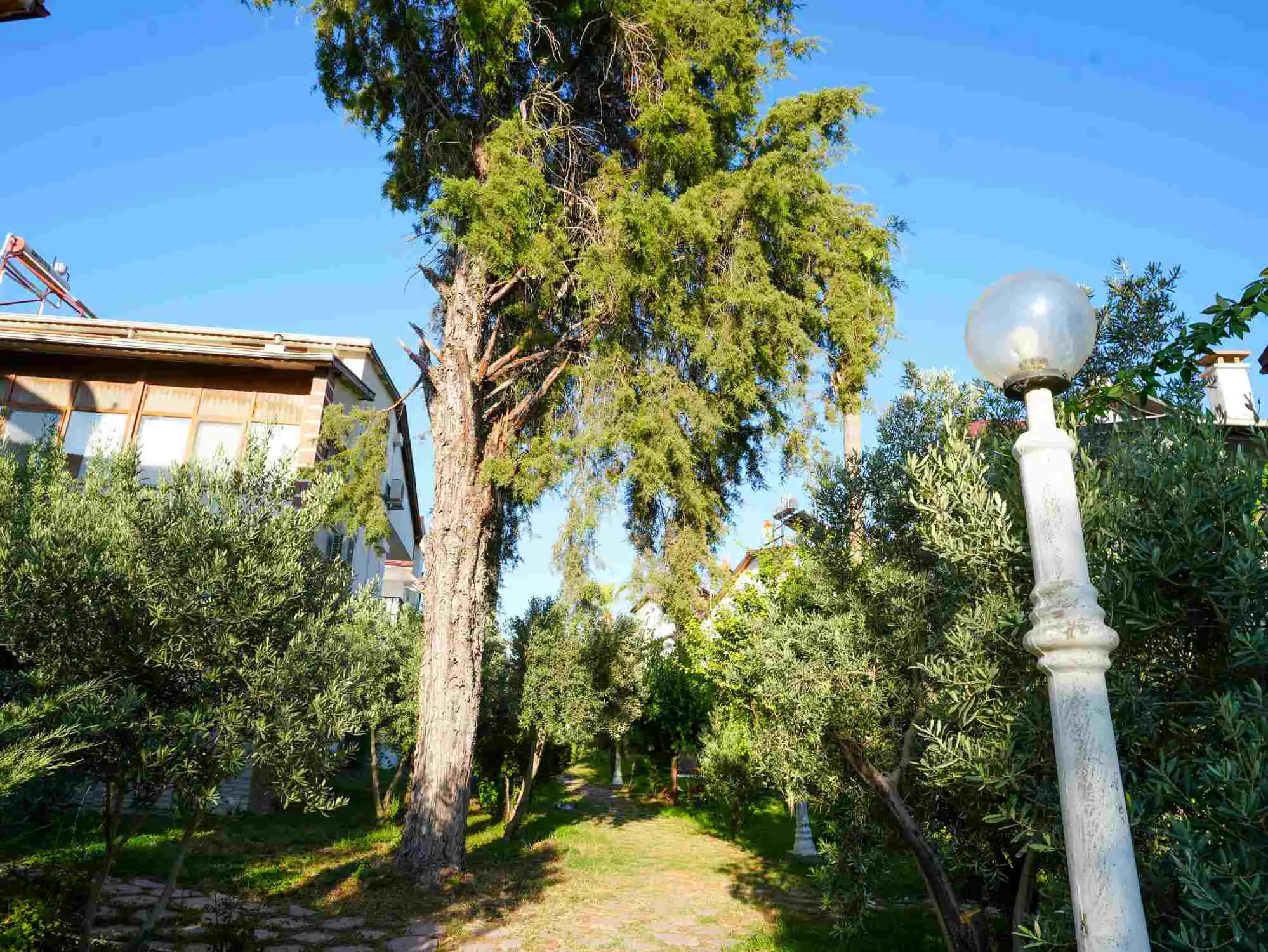 Property image 50